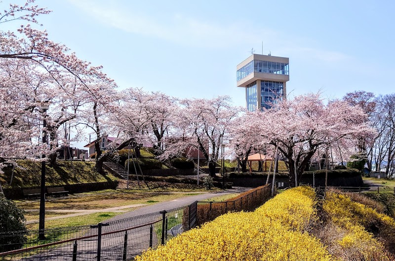 八戸市みなと体験学習館 みなっ知