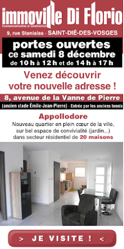 Agence immobilière Compagnie Immobilière Stanislas Saint-Dié-des-Vosges