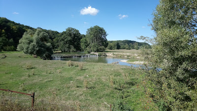 Le Marcassin à Senuc