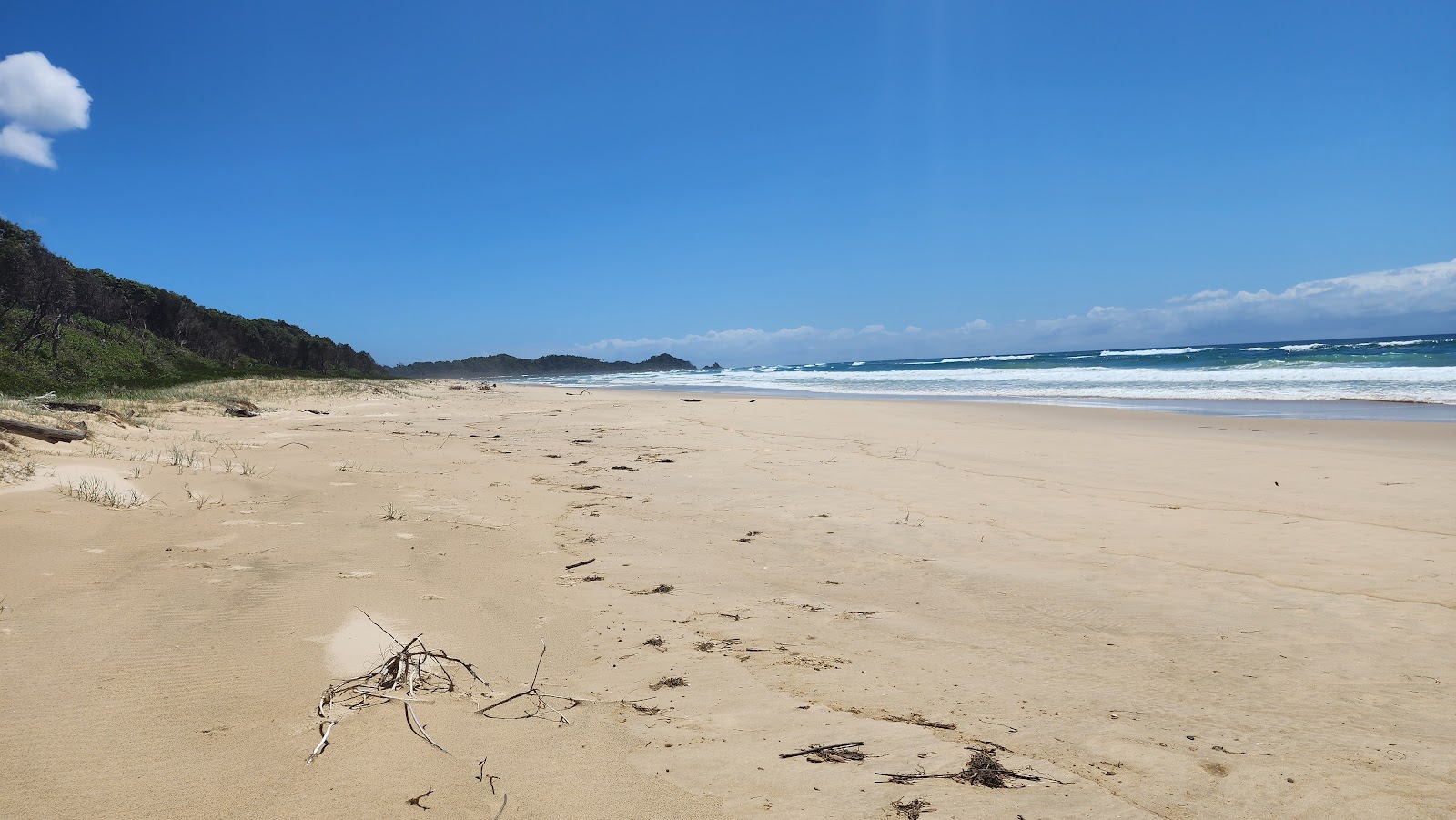 Photo de Forster Beach - bon endroit convivial pour les animaux de compagnie pour les vacances