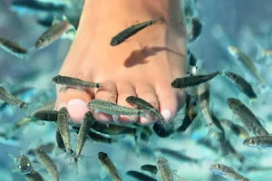 Fish Spa Santorini image