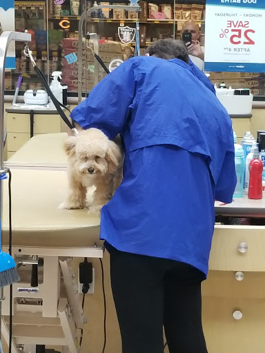 Pet Supply Store «PetSmart», reviews and photos, 24 Countryside Plaza, Countryside, IL 60525, USA