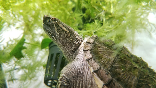 Pet Supply Store «PetSmart», reviews and photos, 8537 W Grand River Ave, Brighton, MI 48116, USA