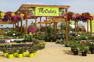 McCabe's Greenhouse & Floral image