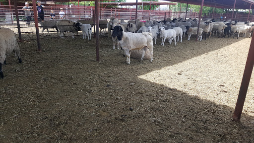 Meat Wholesaler «Lizze Custom Processing», reviews and photos, 7310 Pine Ave, Chino, CA 91708, USA