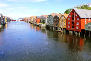 Trondheim for You - Guided Tours AS image