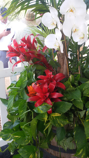 Nature Preserve «Jefferson Memorial Forest», reviews and photos, 11311 Mitchell Hill Rd, Fairdale, KY 40118, USA