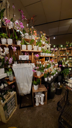 Supermarket «Wegmans», reviews and photos, 2100 NJ-70, Cherry Hill, NJ 08002, USA