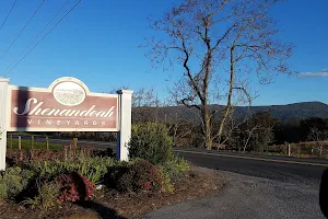 Shenandoah Vineyards image