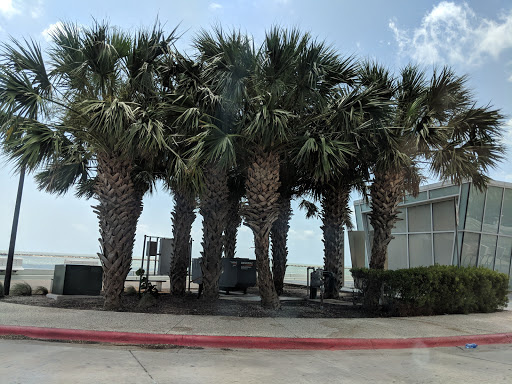 Art Museum «The Art Museum of South Texas», reviews and photos, 1902 N Shoreline Blvd, Corpus Christi, TX 78401, USA