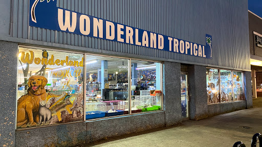 Wonderland Tropical pets