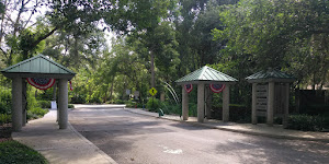 Maitland Community Park