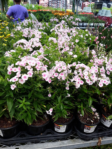 Home Improvement Store «The Home Depot», reviews and photos, 1336 Bristol Pike, Bensalem, PA 19020, USA