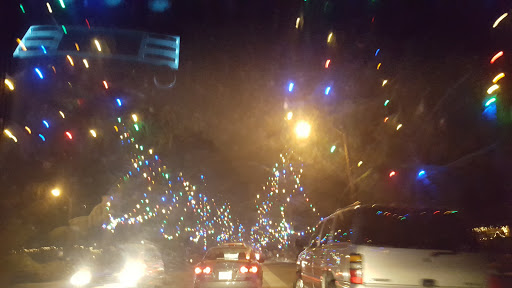 Tourist Attraction «Christmas Tree Lane», reviews and photos, Santa Rosa Ave, Altadena, CA 91001, USA