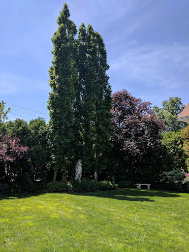 Wedding Venue «The Inn At New Hyde Park», reviews and photos, 214 Jericho Turnpike, New Hyde Park, NY 11040, USA