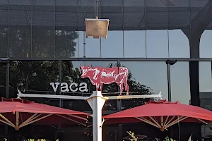 Vaca image