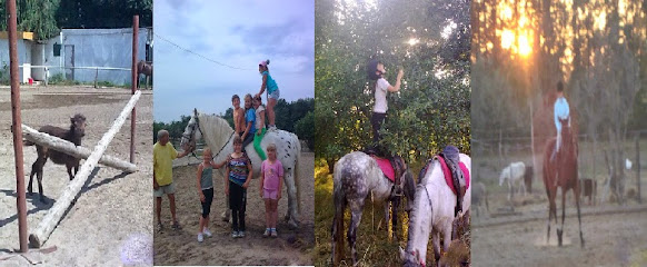 Pestszenterzsébeti Lovasiskola - Gyerekek és felnőttek lovasoktatása