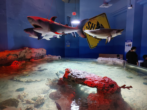Aquarium «SeaQuest Interactive Aquarium Las Vegas», reviews and photos, 3528 S Maryland Pkwy #340, Las Vegas, NV 89169, USA