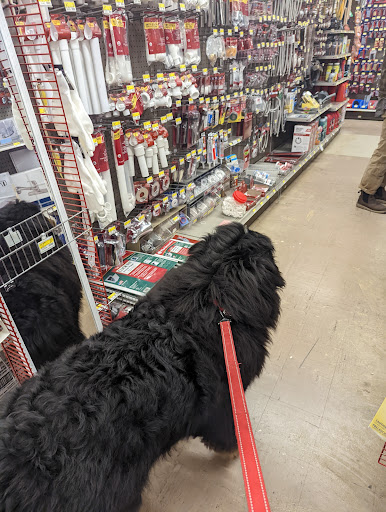 Hardware Store «Magnolia Ace Hardware», reviews and photos, 2420 32nd Ave W, Seattle, WA 98199, USA