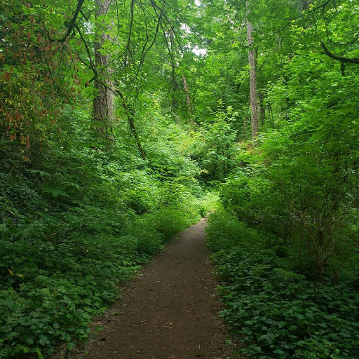 Park «Maddax Woods», reviews and photos, 5785 River St, West Linn, OR 97068, USA