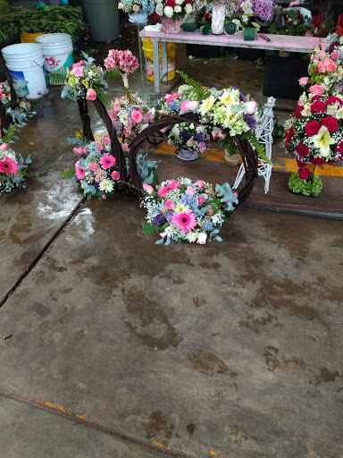 Escuelas de floristeria en Toluca de Lerdo