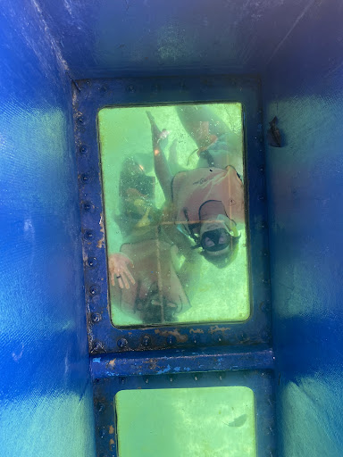 Dive Shop «Sea Experience Glassbottom Snorkel and Dive Tours», reviews and photos, 801 Seabreeze Blvd, Fort Lauderdale, FL 33316, USA