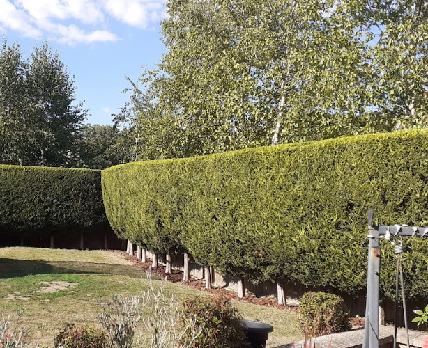 Reviews of Aspire Tree & Vegetation Management in Maidstone - Landscaper
