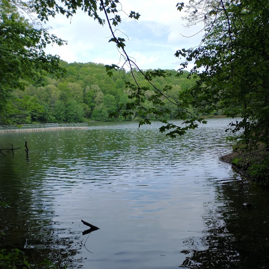 Rural Retreat Fishing Lake