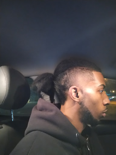 Barber Shop «Phresh Cuts Barber Shop», reviews and photos, 5121 Davis Blvd, North Richland Hills, TX 76180, USA