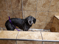 Concord Pet Foods & Supplies - Photo 9 - Car repair in Mt Laurel Township, NJ, Philadelphia