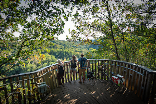 Agence de développement économique Sarthe Tourisme Le Mans