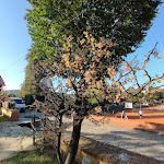 Photo n°1 de l'avis de Salvo.i fait le 29/06/2023 à 17:02 sur le  Lo Scoiattolo Restaurant and Relax à Pino Torinese