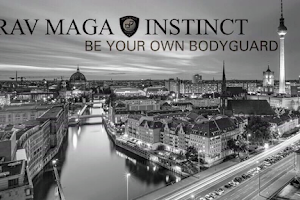 INSTINCT ACADEMY BERLIN image