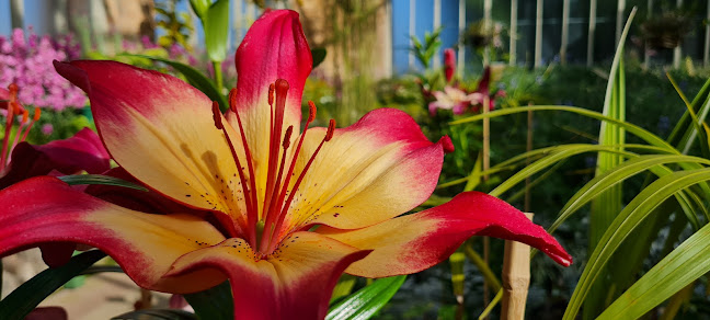 Sensory Garden - Auckland