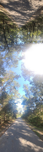 Park «Dennis Johnston Park», reviews and photos, 709 Riley Fuzzel Rd, Spring, TX 77373, USA