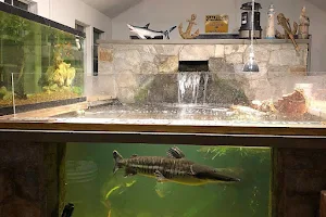 Monster Aquariums and Pets image