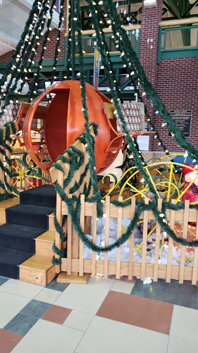 Recreation Center «Richard A. Carlucci Recreation and Aquatic Center», reviews and photos, 651 Vestal Rd, Plainfield, IN 46168, USA