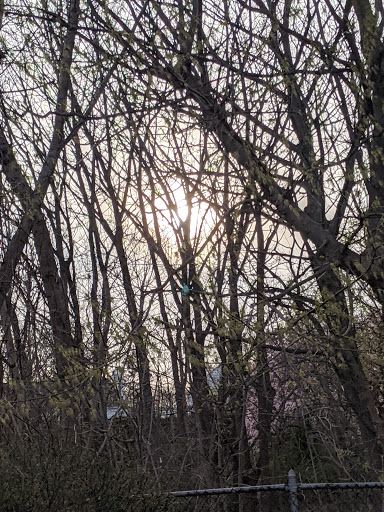 Supermarket «The Harrison Market», reviews and photos, 355 Halstead Ave, Harrison, NY 10528, USA