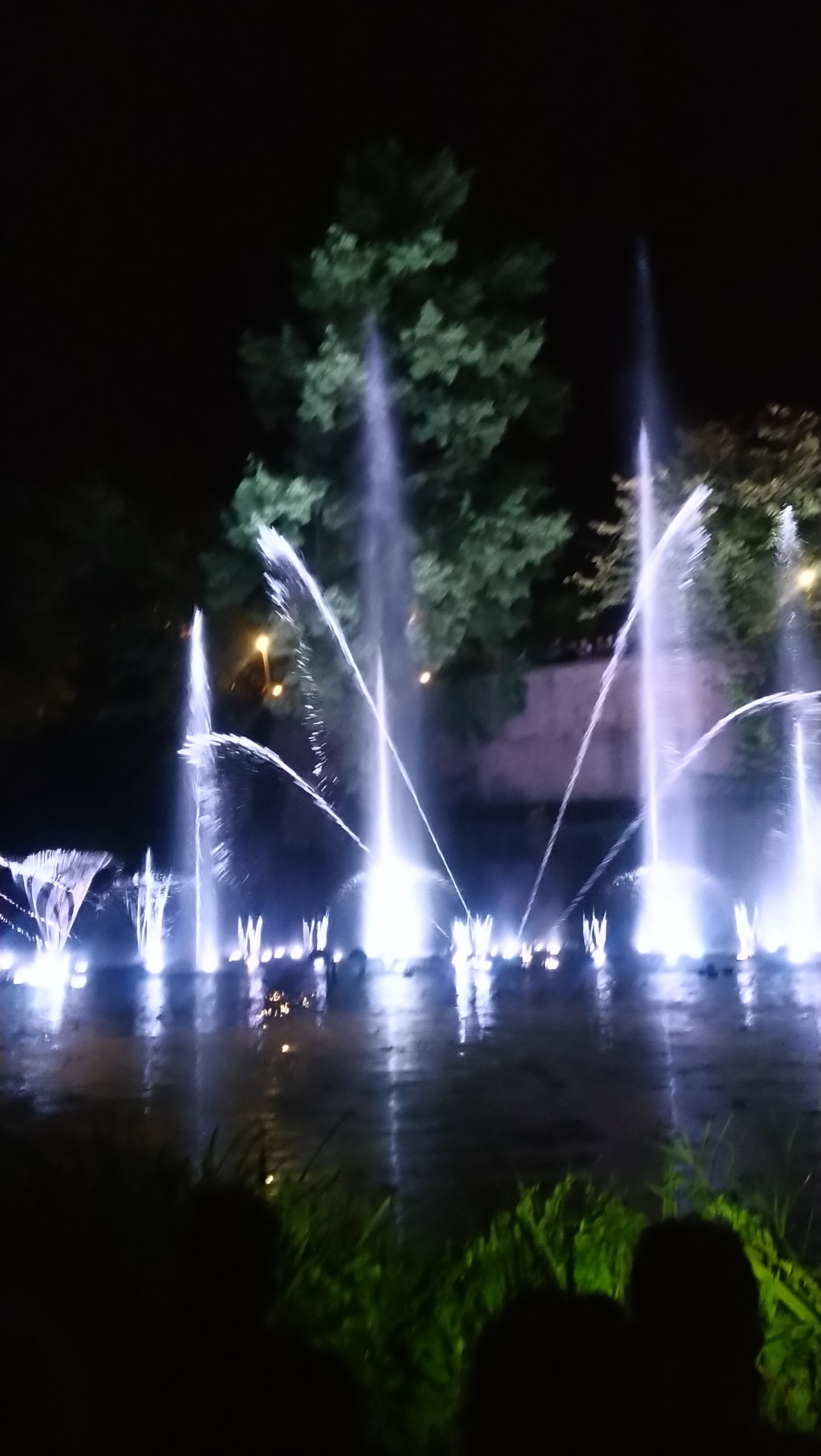 Photo n° 6 de l'avis de argan.r fait le 31/08/2019 à 21:13