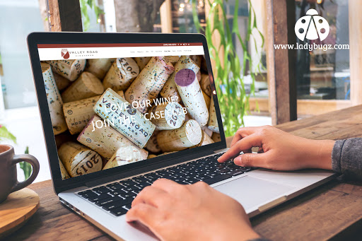 Website Designer «Ladybugz Interactive Agency», reviews and photos, 206 Turnpike Rd, Southborough, MA 01772, USA