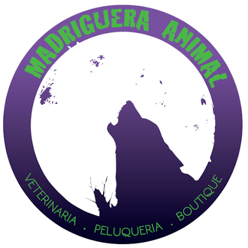 Clínica Veterinaria Madriguera Animal - Veterinario