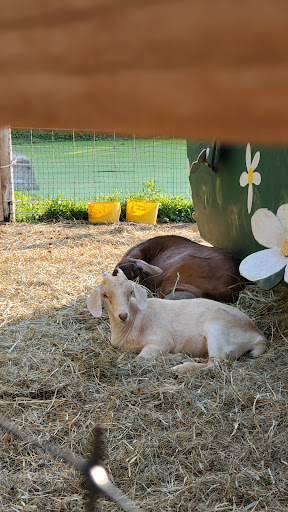 Golf Club «Big Stone Mini Golf», reviews and photos, 7110 County Rd 110 W, Minnetrista, MN 55364, USA