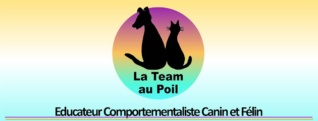 La Team au Poil Educateur Comportementaliste Canin et Félin