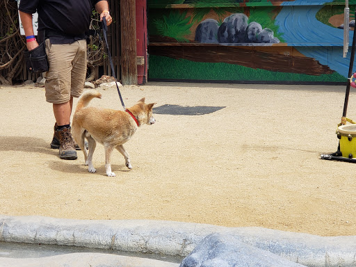 The Teaching Zoo at Moorpark College image