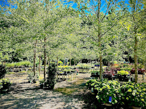 Florist «The Garden», reviews and photos, 155 Main St N, Woodbury, CT 06798, USA