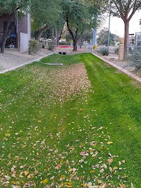 LG Power Landscape - Photo 5 - Car repair in , Phoenix