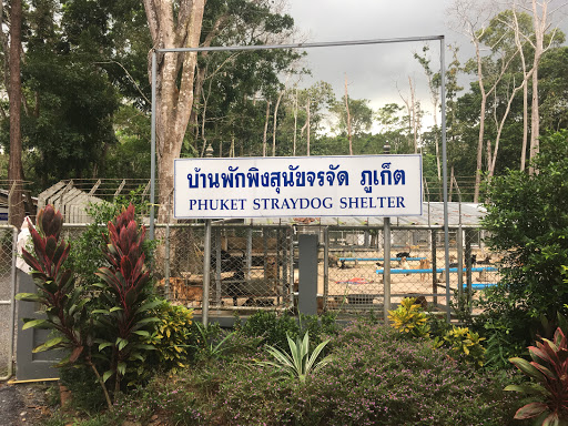 Phuket Stray Dog Shelter (Government Dog Pound)