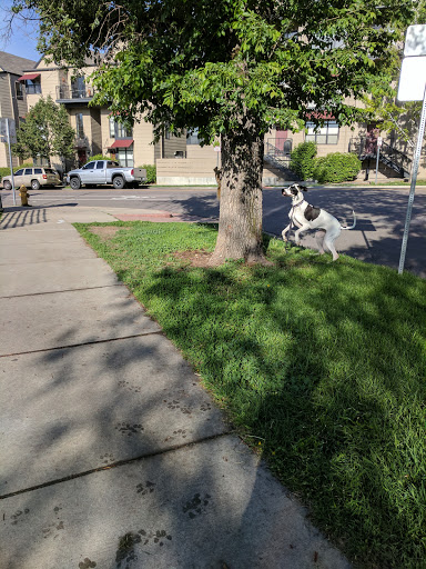 Park «Hirshorn Park», reviews and photos, 3000 Tejon St, Denver, CO 80211, USA