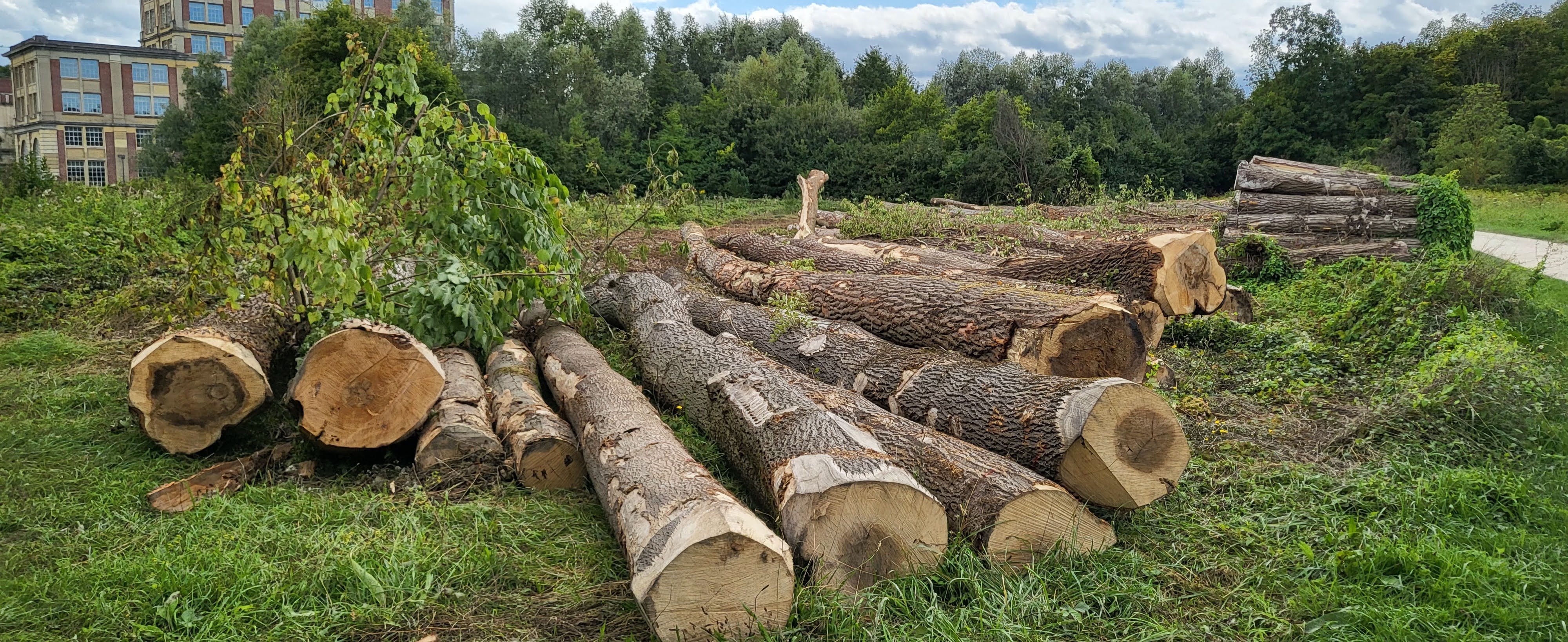 Photo n° 12 de l'avis de R. fait le 28/08/2023 à 09:54