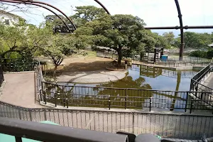 Oshima Zoo Park image